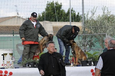 Remise des Prix 111.JPG - CHIENPLUS.COM